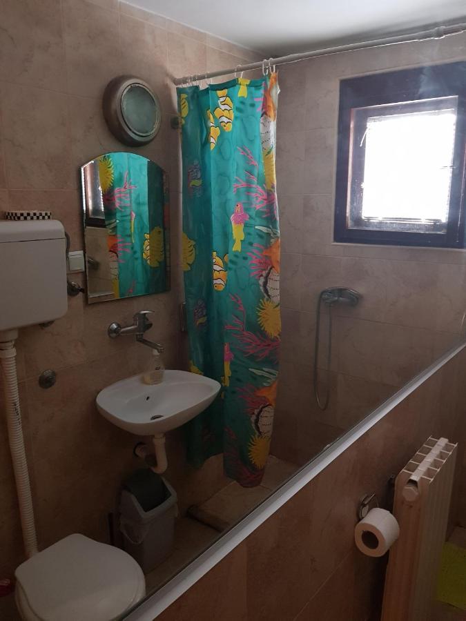 Hotel Pansion Lug Belgrad Zewnętrze zdjęcie
